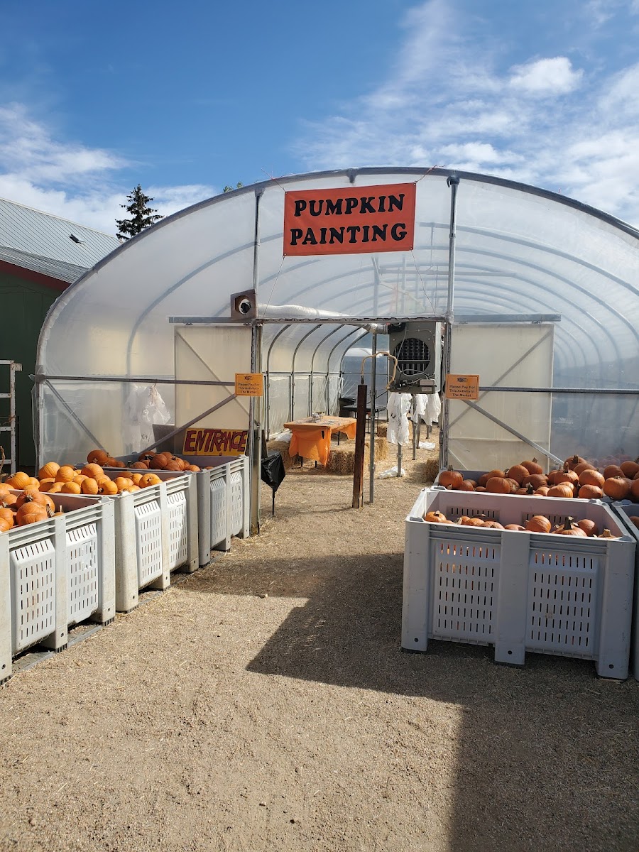 Rocky Mountain Pumpkin Ranch Inc